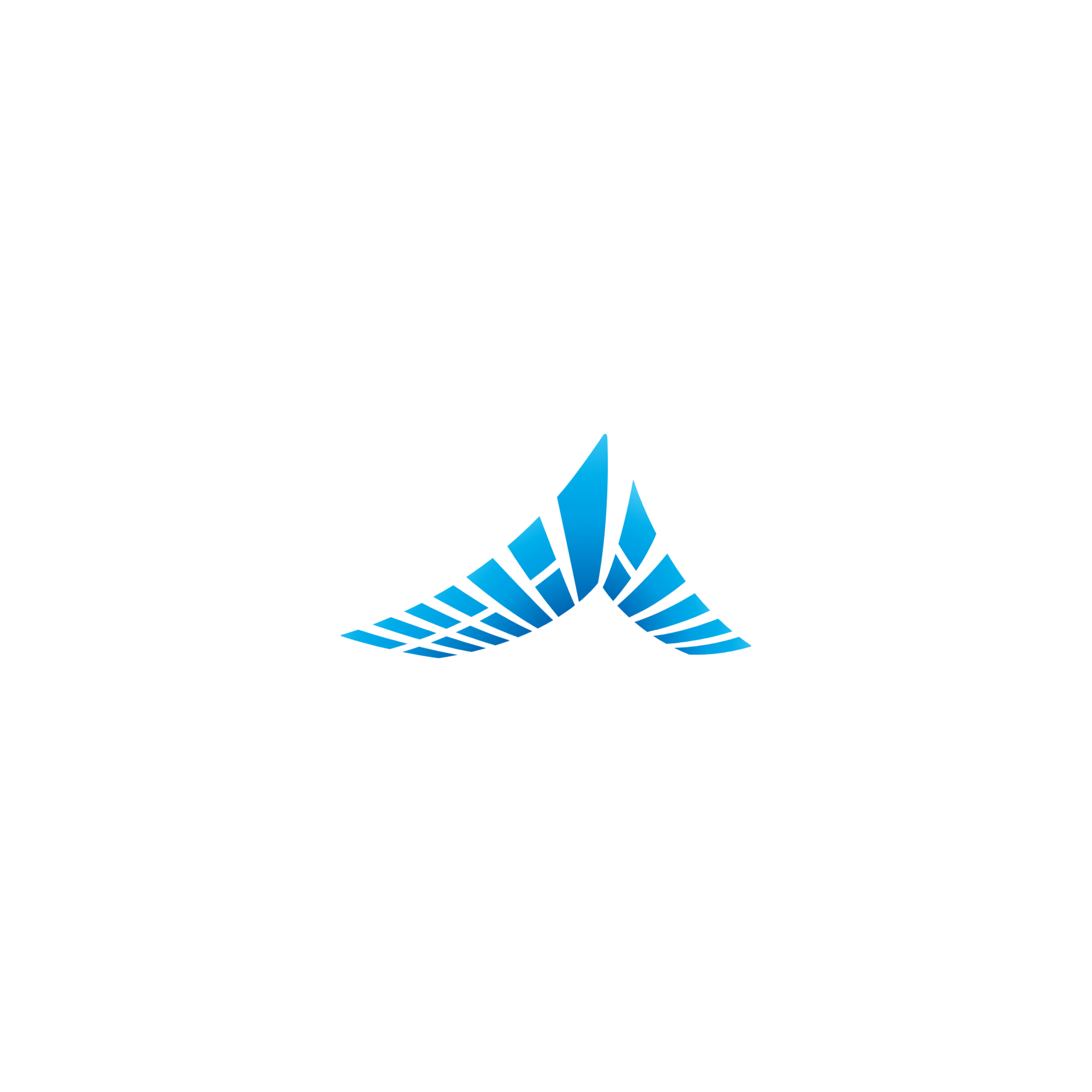 세종